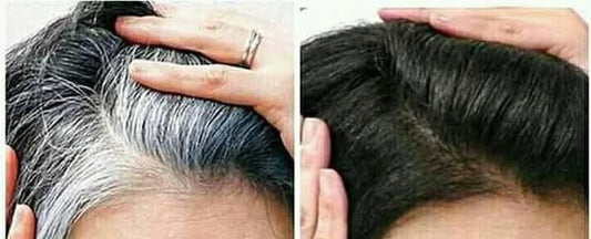 SHAMPOING COLORANT NOIR